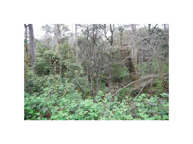 2 Weetah Road, Weetah TAS 7304