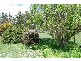 2 How Street, Chudleigh TAS 7304
