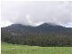 130 Lees Road, Western Creek TAS 7304