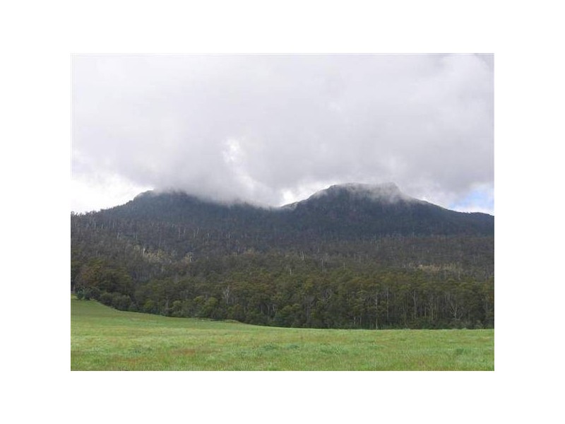 130 Lees Road, Western Creek TAS 7304
