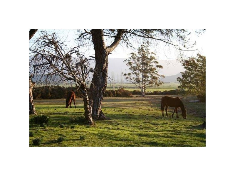 839 Montana Road, Montana TAS 7304