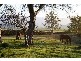 839 R Montana Road, Montana TAS 7304