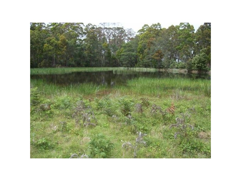 40 Bonney Street, Elizabeth Town TAS 7304