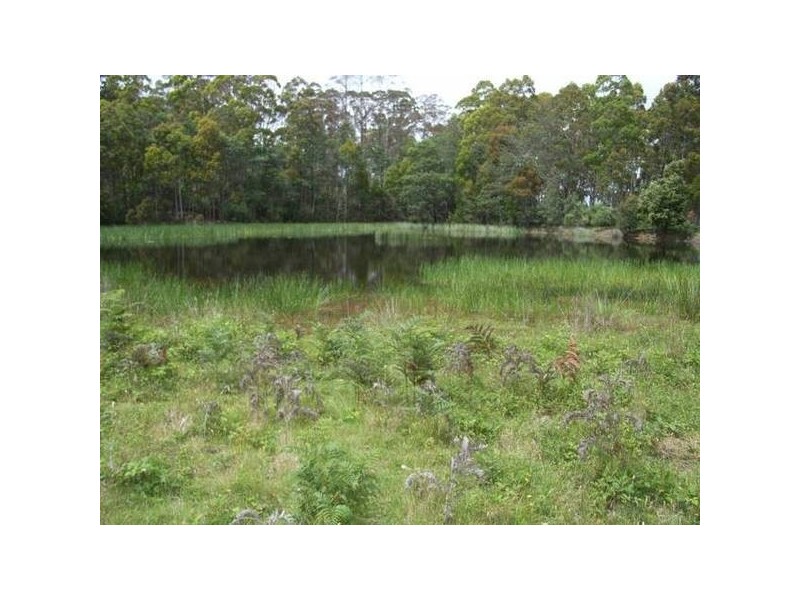 40 Bonney Street, Elizabeth Town TAS 7304