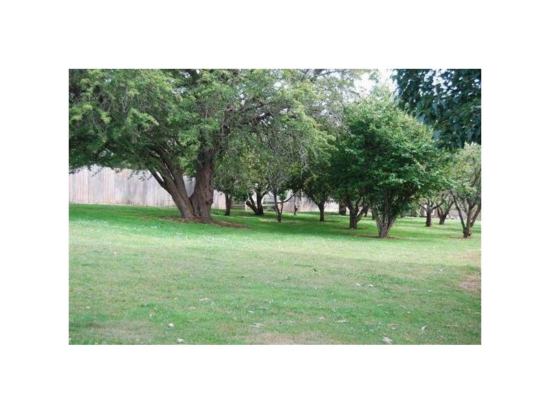 75 Samuel Street, Elizabeth Town TAS 7304