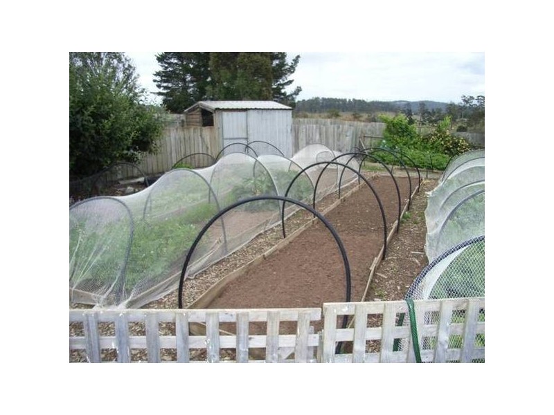 329 Mole Creek Road, Deloraine TAS 7304