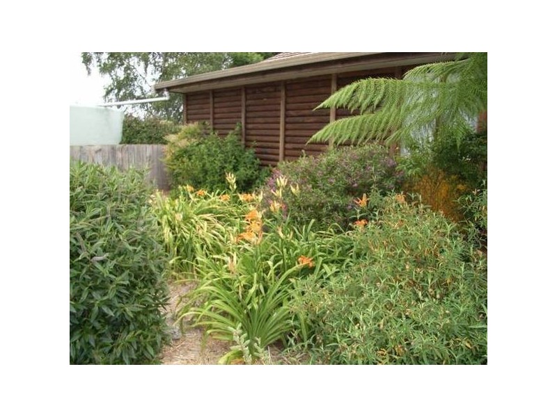 329 Mole Creek Road, Deloraine TAS 7304