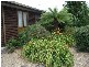 329r Mole Creek Road, Deloraine TAS 7304