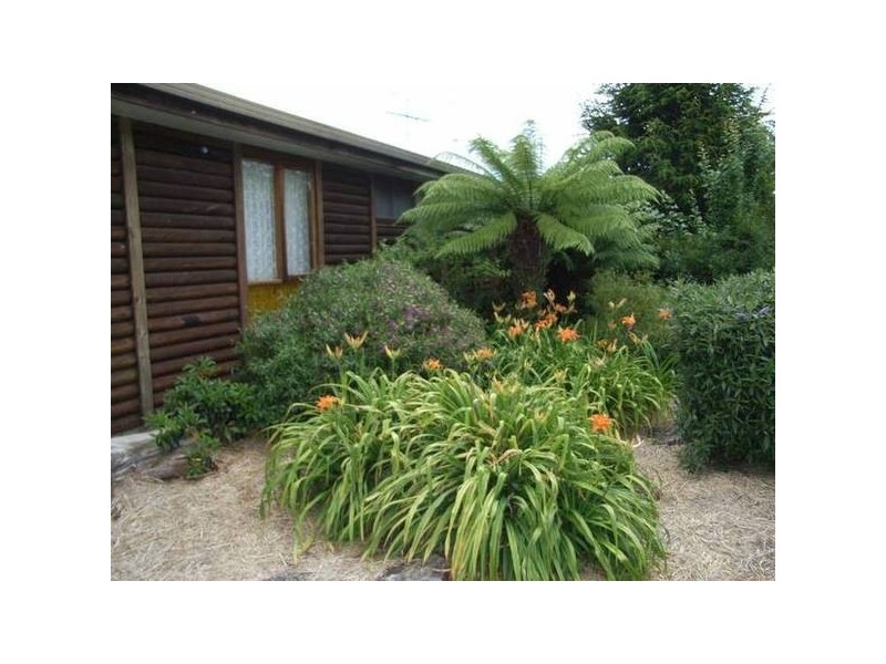 329r Mole Creek Road, Deloraine TAS 7304