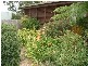 329r Mole Creek Road, Deloraine TAS 7304