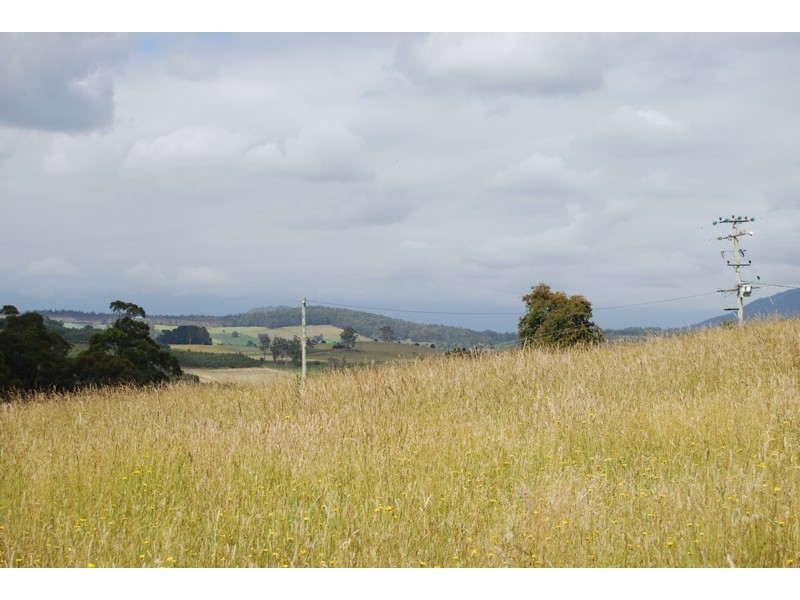 Samuel Street, Elizabeth Town TAS 7304