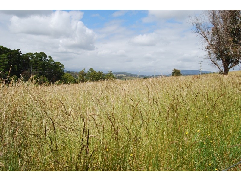 Samuel Street, Elizabeth Town TAS 7304