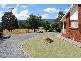 109 Union Bridge Road, Mole Creek TAS 7304
