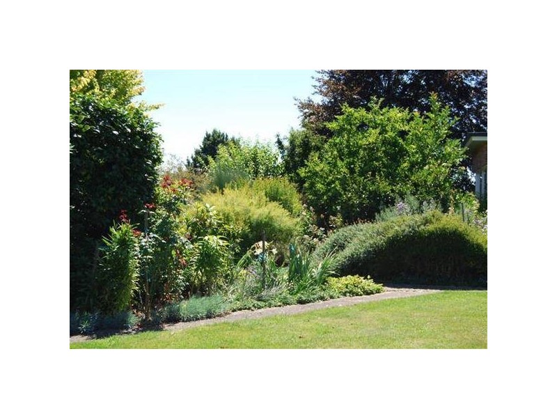 120 Bankton Road, Dairy Plains TAS 7304