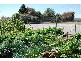 120 Bankton Road, Dairy Plains TAS 7304