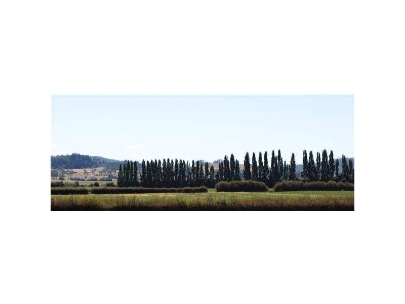 120 Bankton Road, Dairy Plains TAS 7304