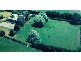 120 Bankton Road, Dairy Plains TAS 7304