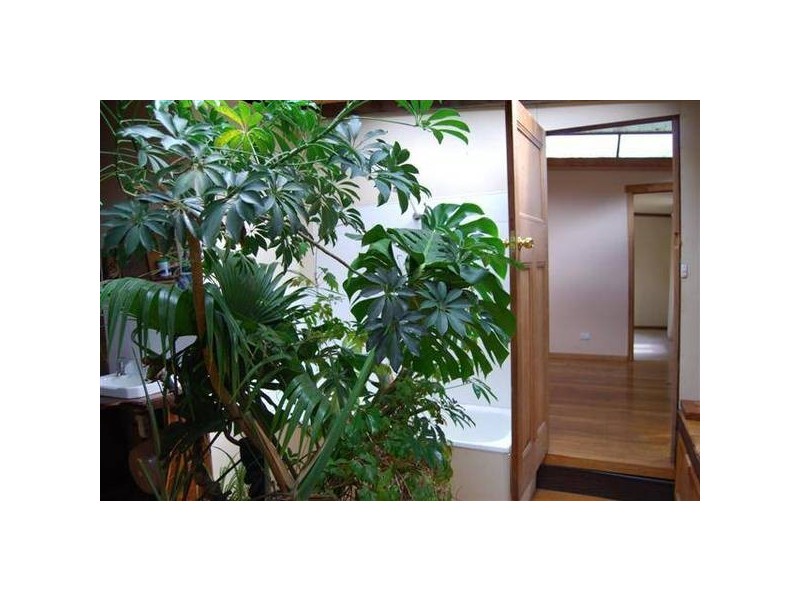 Weetah Road, Weetah TAS 7304