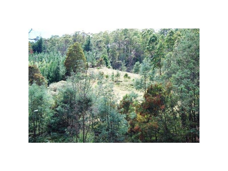 Weetah Road, Weetah TAS 7304