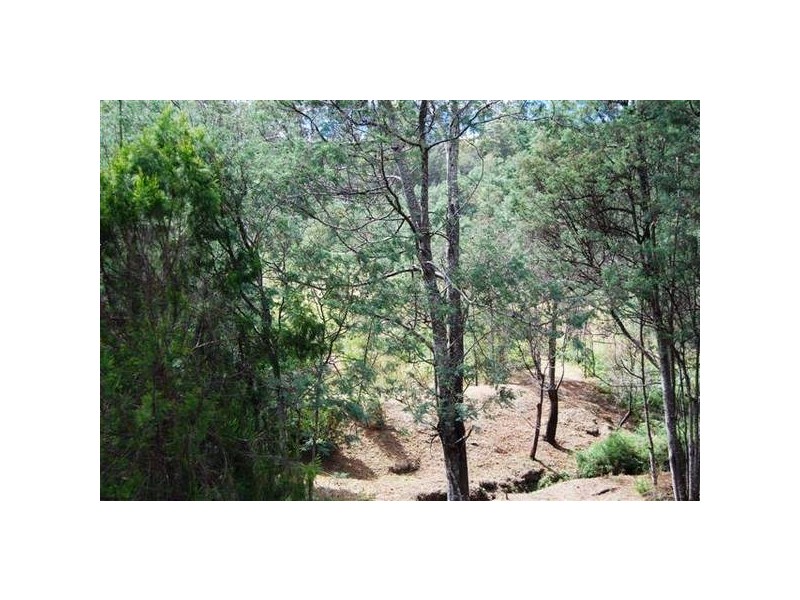 Weetah Road, Weetah TAS 7304