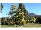 13515 R Highland Lakes Road, Golden Valley TAS 7304