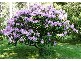 13515 R Highland Lakes Road, Golden Valley TAS 7304