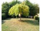 16 Beefeater Street, Deloraine TAS 7304