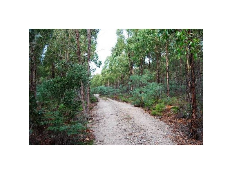 Grubbs Road, Reedy Marsh TAS 7304