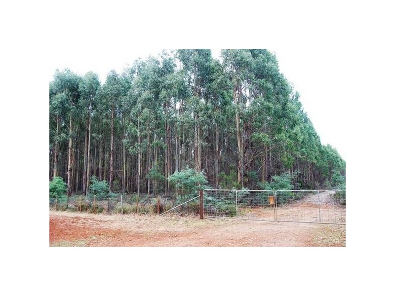 Grubbs Road, Reedy Marsh TAS 7304