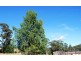 morrison street, Kimberley TAS 7304