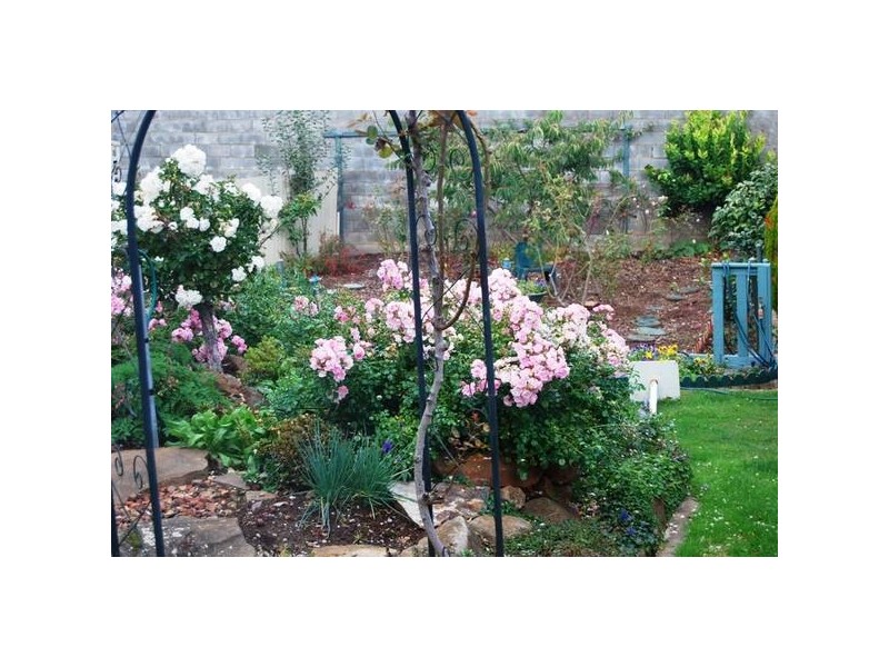 52 West Goderich Street, Deloraine TAS 7304