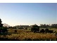 1239 Weegena Road, Dunorlan TAS 7304