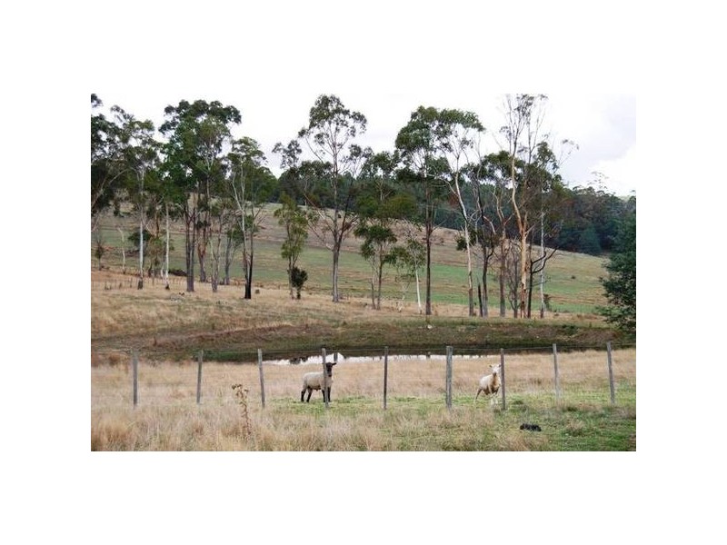 10r Eyles Close, Deloraine TAS 7304