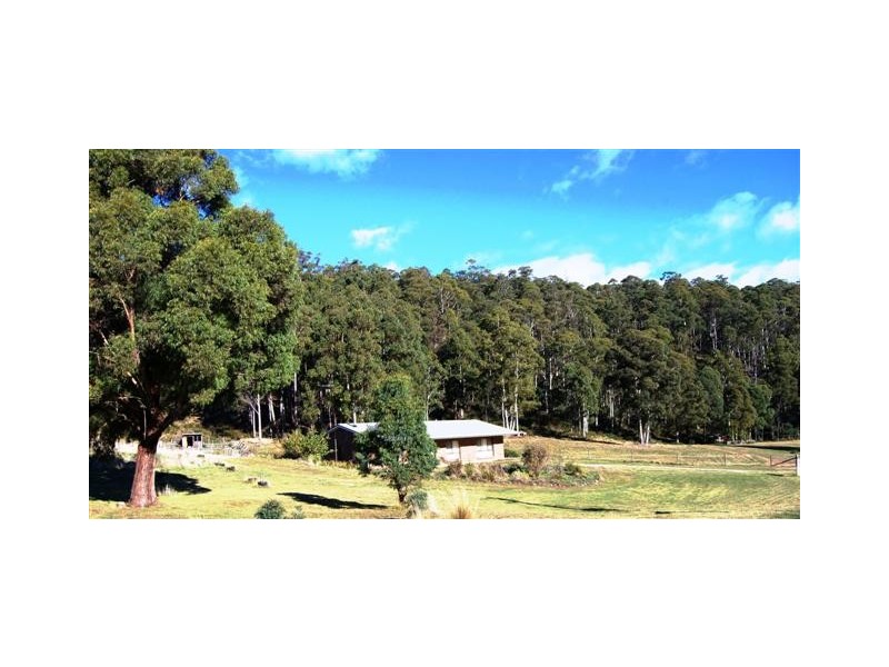 515r Liena Road, Mole Creek TAS 7304