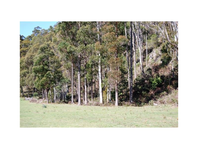 515r Liena Road, Mole Creek TAS 7304