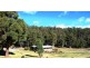 515 Liena Road, Mole Creek TAS 7304