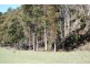 515 Liena Road, Mole Creek TAS 7304