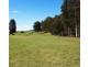 515 Liena Road, Mole Creek TAS 7304