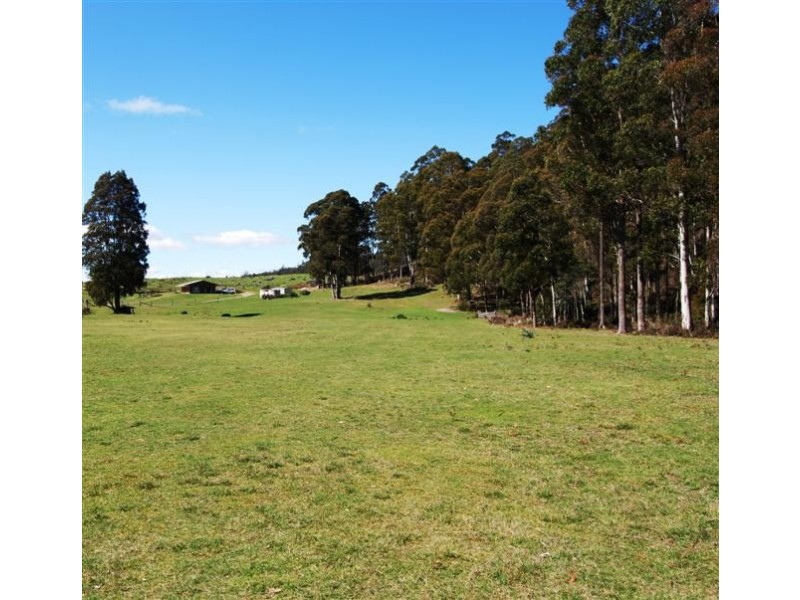 515 Liena Road, Mole Creek TAS 7304