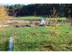 31 Walters Road, Mole Creek TAS 7304