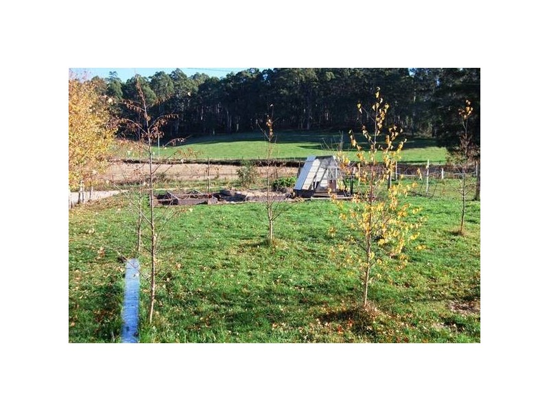 31 Walters Road, Mole Creek TAS 7304