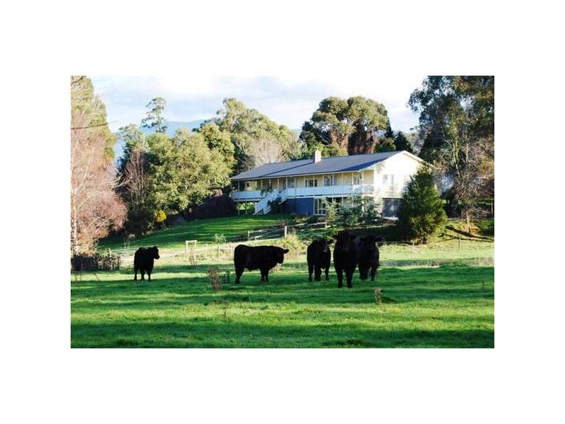 31 Harwood Road, Dairy Plains TAS 7304