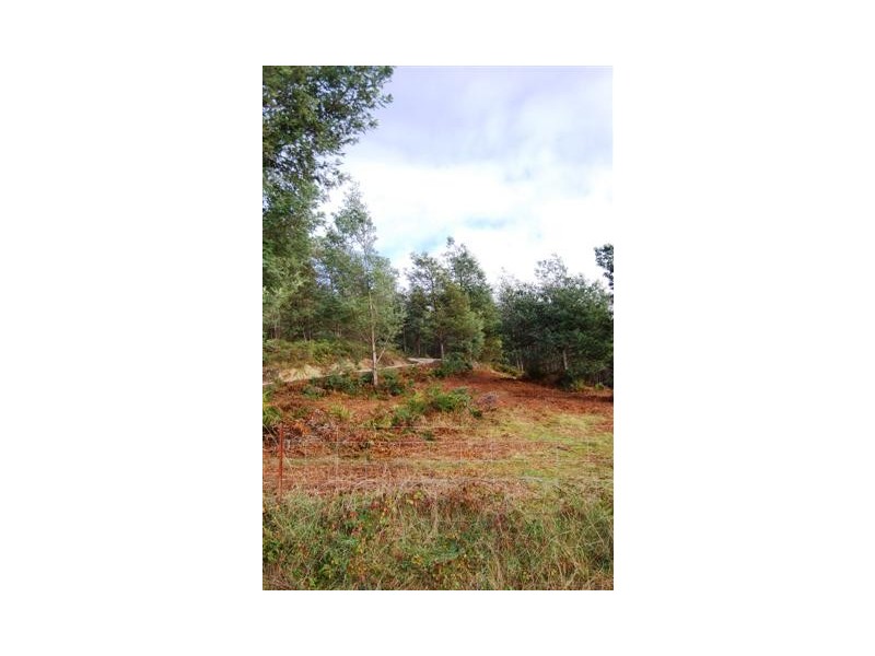 50 Wattle Lea Road, Golden Valley TAS 7304