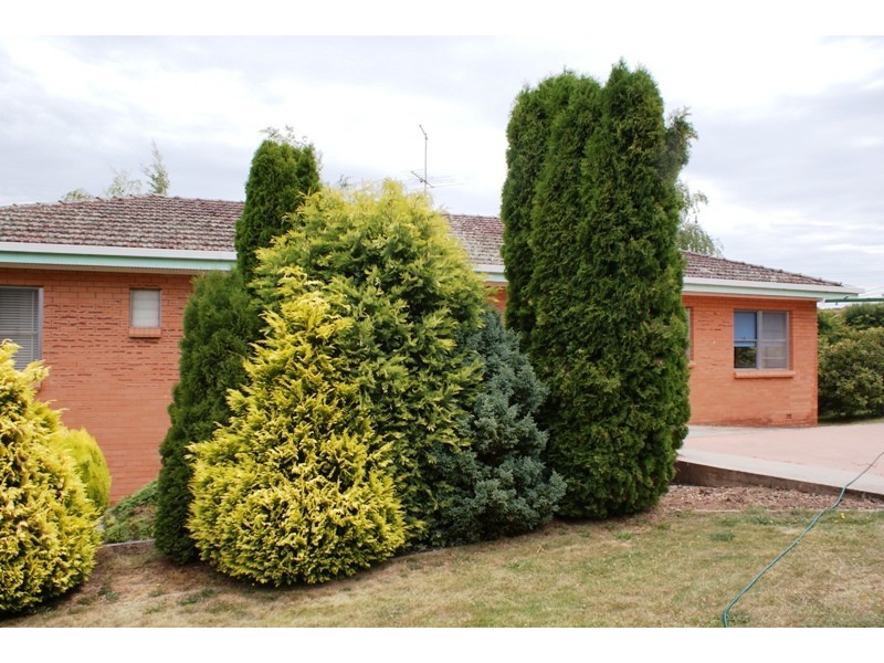 59 West Barrack Street, Deloraine TAS 7304