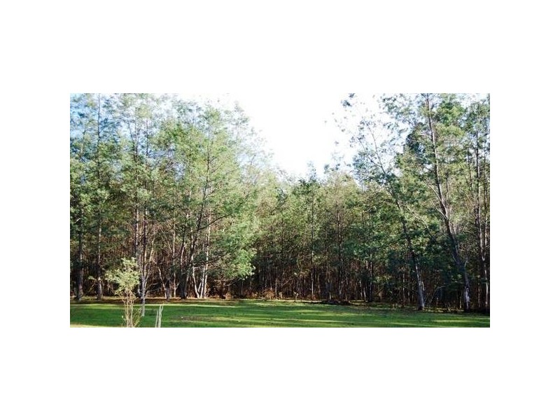 289R Wadleys Road, Reedy Marsh TAS 7304