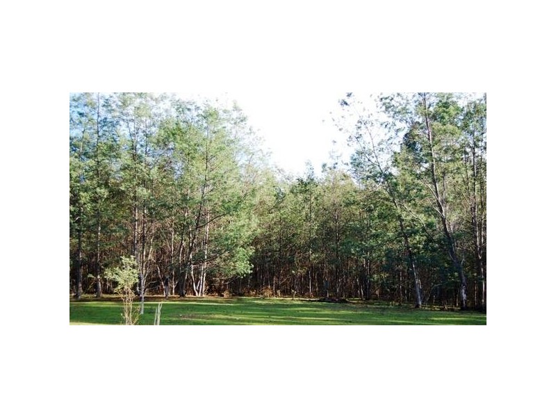 289 Wadleys Road, Deloraine TAS 7304