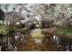 Williams Road, Jackeys Marsh TAS 7304
