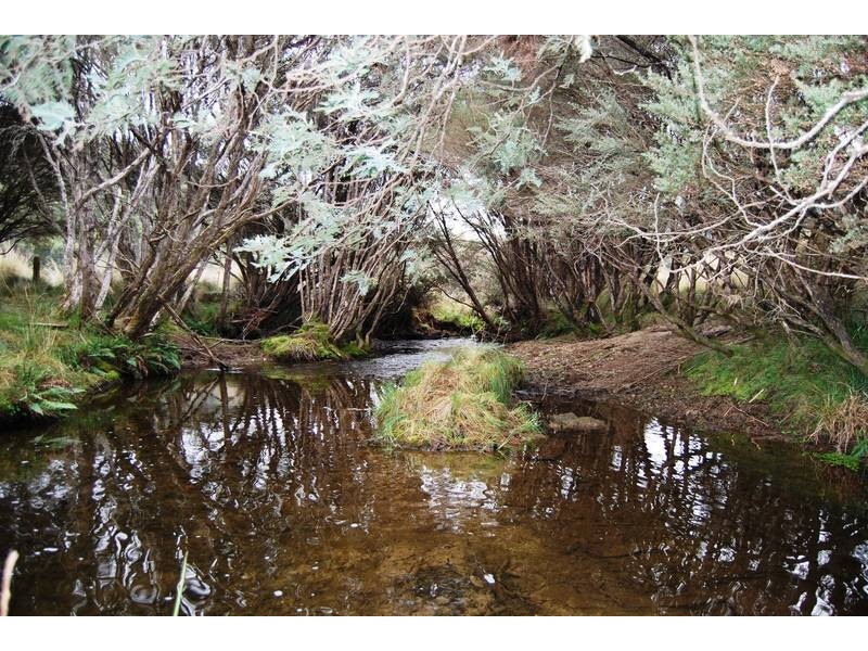 Williams Road, Jackeys Marsh TAS 7304