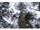 Williams Road, Jackeys Marsh TAS 7304