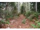 Williams Road, Jackeys Marsh TAS 7304